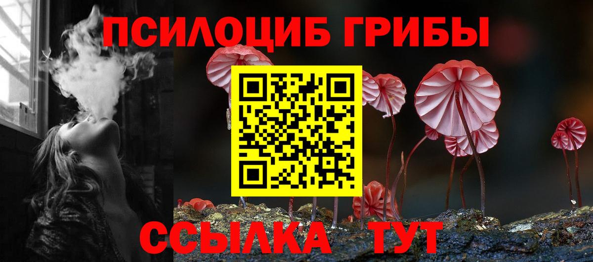 Псилоцибиновые грибы мицелий Бор