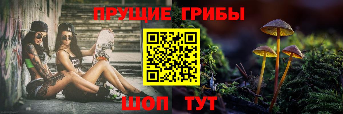 Бор  Псилоцибиновые грибы ЛСД  Вход с VPN 